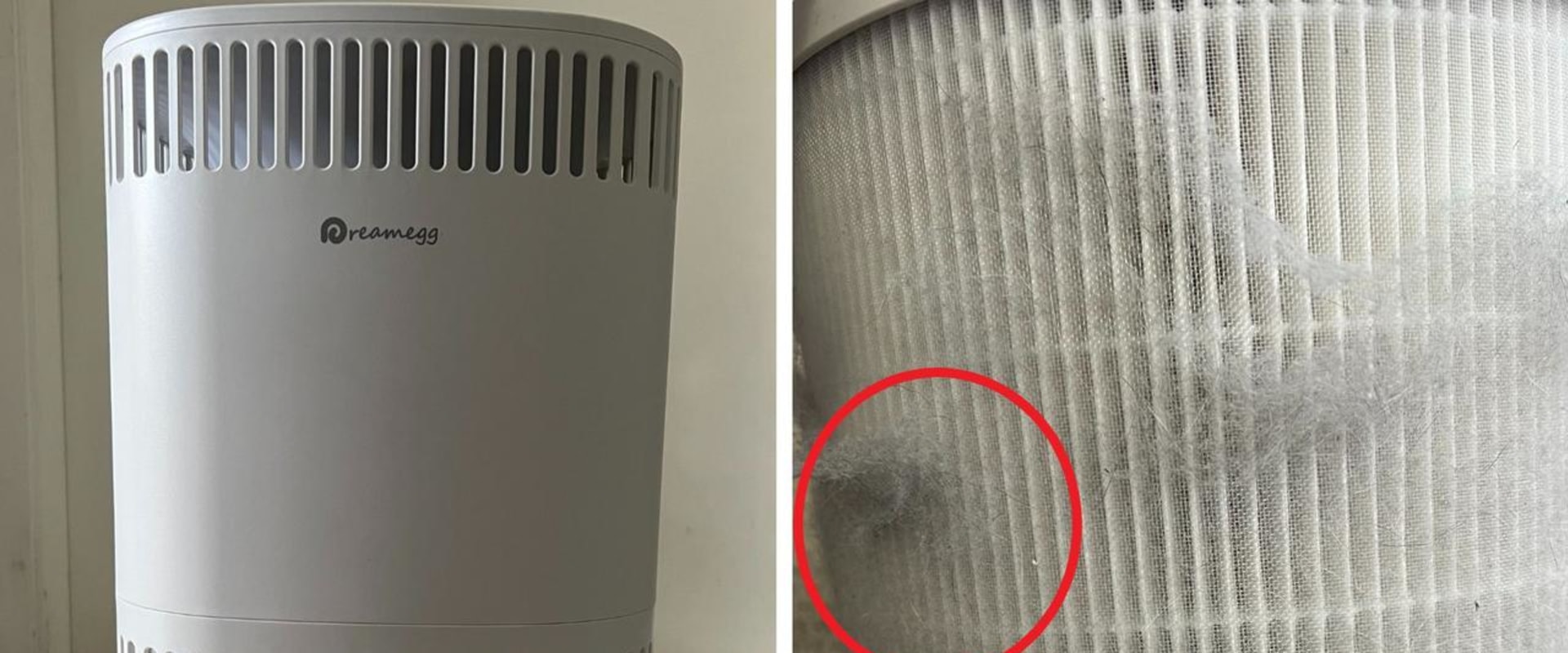 How to Choose the Best Home Air Filter for Allergies