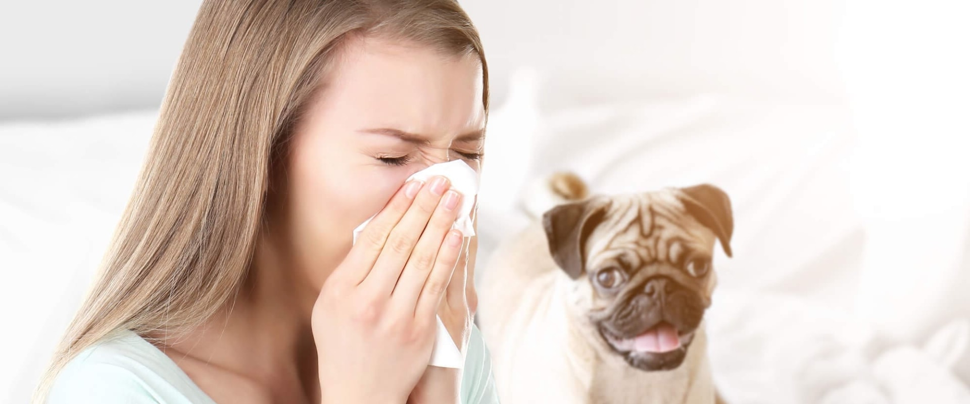 What MERV Rating is Needed to Combat Pet Dander and Allergies?